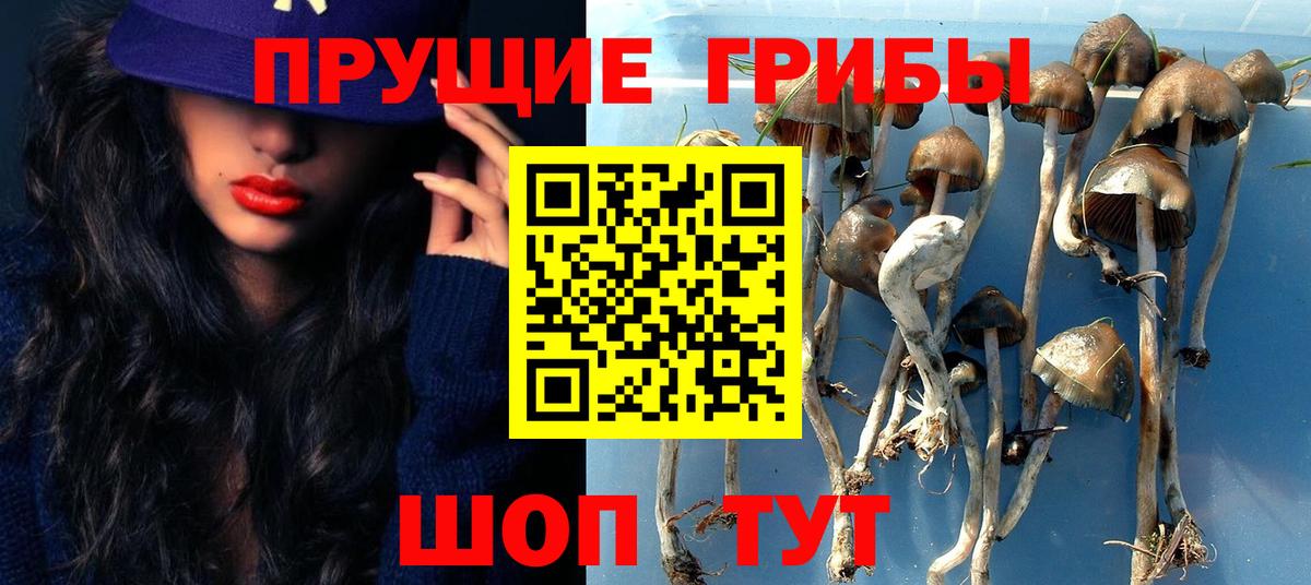 Галлюциногенные грибы MAGIC MUSHROOMS  Вход с VPN  Избербаш 