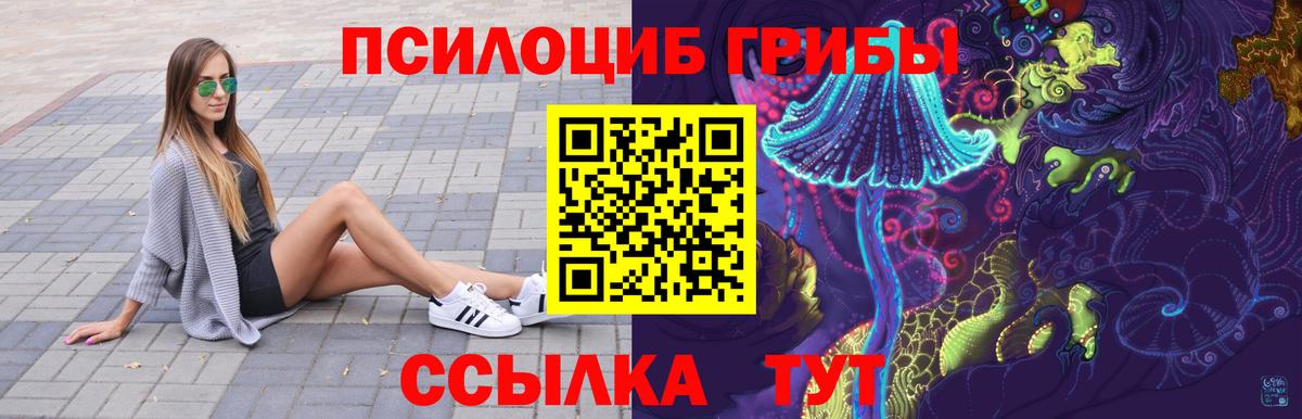 Псилоцибиновые грибы Psilocybe Избербаш