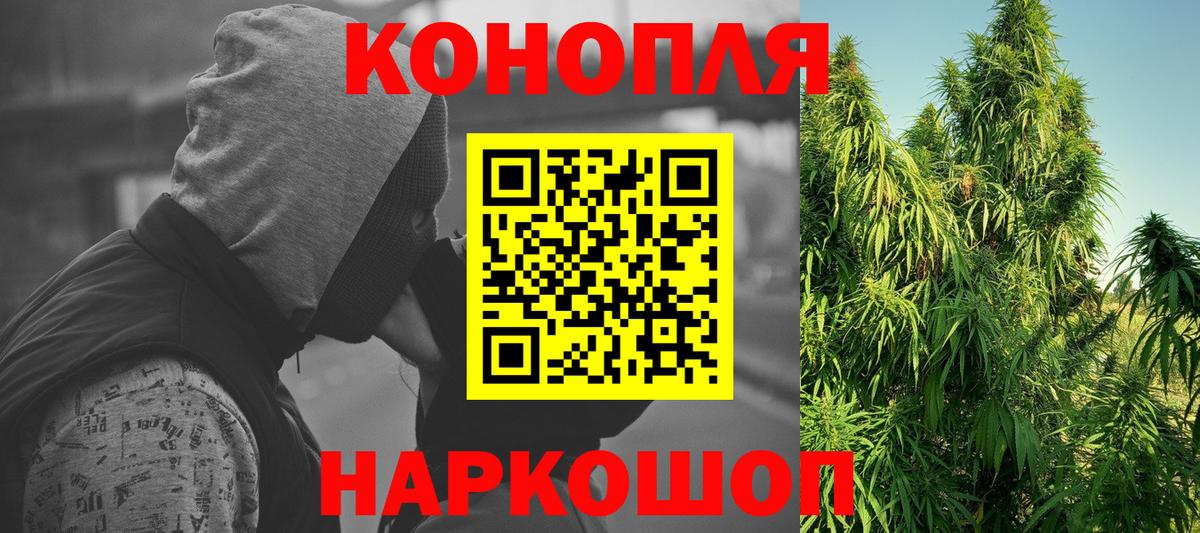 Каннабис планчик Избербаш
